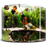 Pond H2o Heavy Duty Koi Fish Pond Pole 15 Inch with Soft Rubber Grip-0