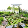 Pond Scissors 48" Long Pole by Pond H2o Water Garden Heavy‑Duty Blade-3