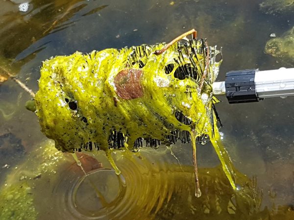 Koi Pond Cleaning Kit by Pond H2o 4-in-1 Net Set with Telescopic Pole-4